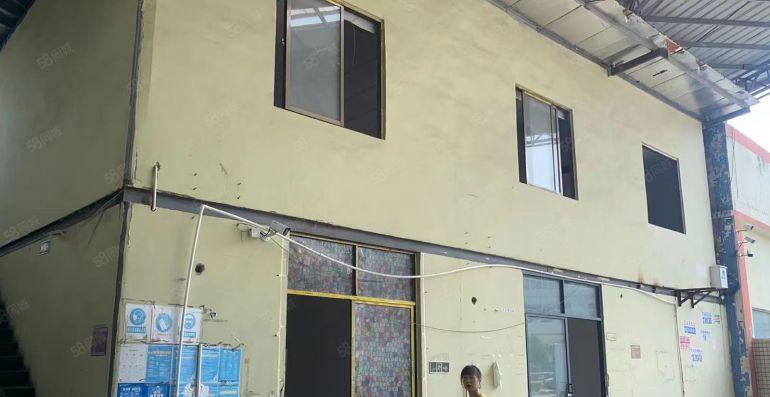 茶山厂房租赁 茶山镇原房东单一层钢结构厂房出租1800平方