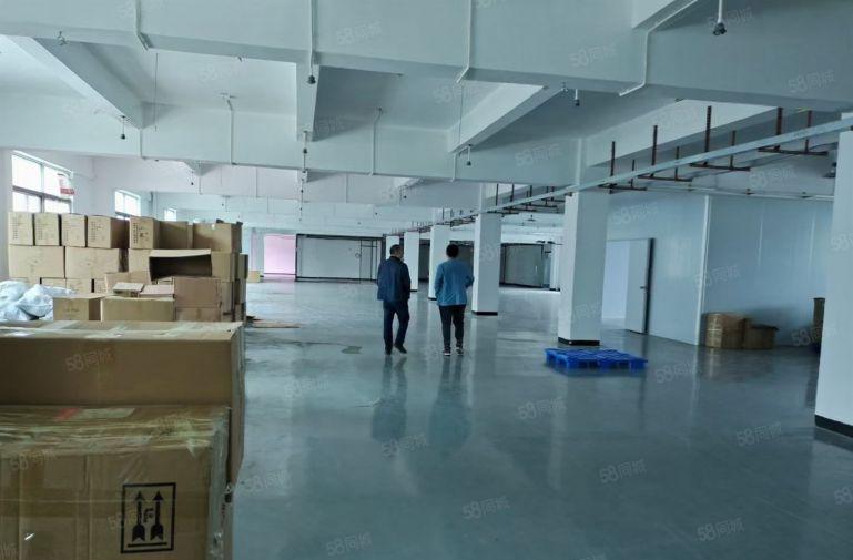 茶山卢屋厂房出租带装修办公室水电大电梯楼上500平2000平