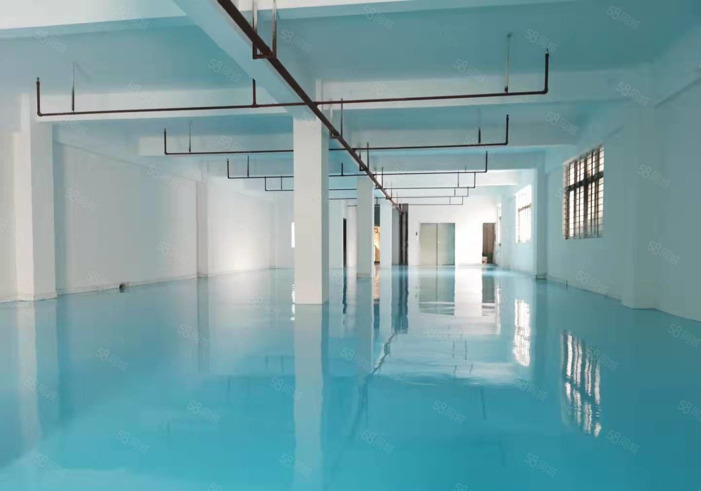 小独院总面积2100平，可进大货柜