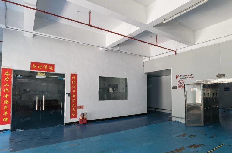 茶山1500平一楼现成无尘车间装修办公室水电齐全独院厂房出租