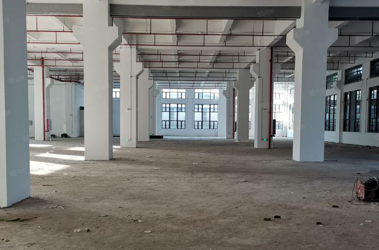 茶山镇新出原房东实际面积出租