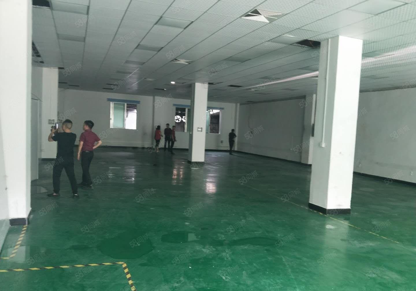 茶山镇原房东带装修厂房分租1100平方招租