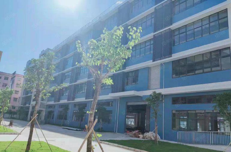 茶山一手业主10元一平！原房东2610平全新红本厂房出租