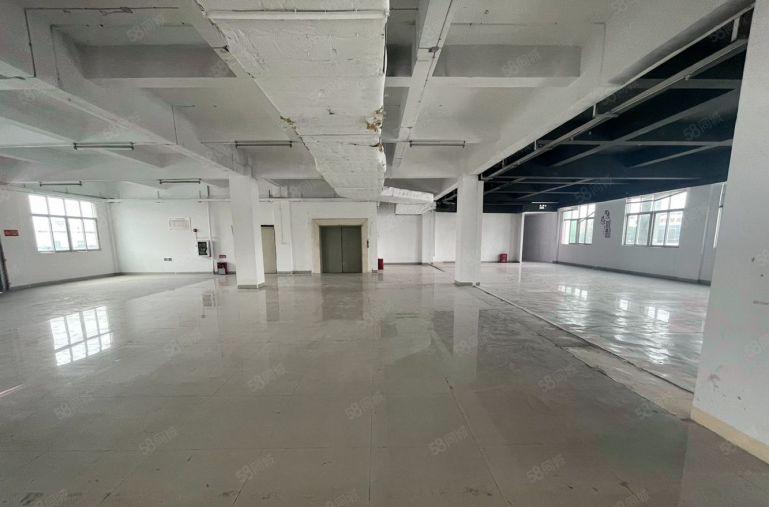 茶山楼上标准厂房10块起租3台电梯可生产可办公可分租 好招工