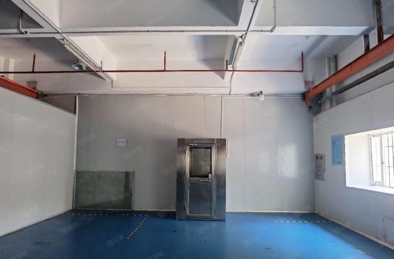 茶山1500平一楼现成无尘车间装修办公室水电齐全独院厂房出租