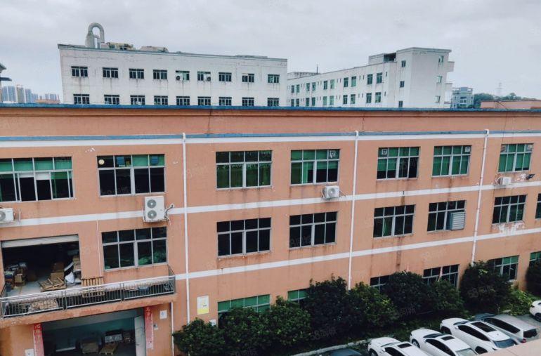 茶山原房东独院厂房6700平实际面积低价出租，空地大，交通好