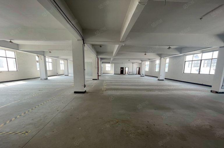 茶山主干道楼上标准厂房11元招租电梯宽2米 带办公室 好招工