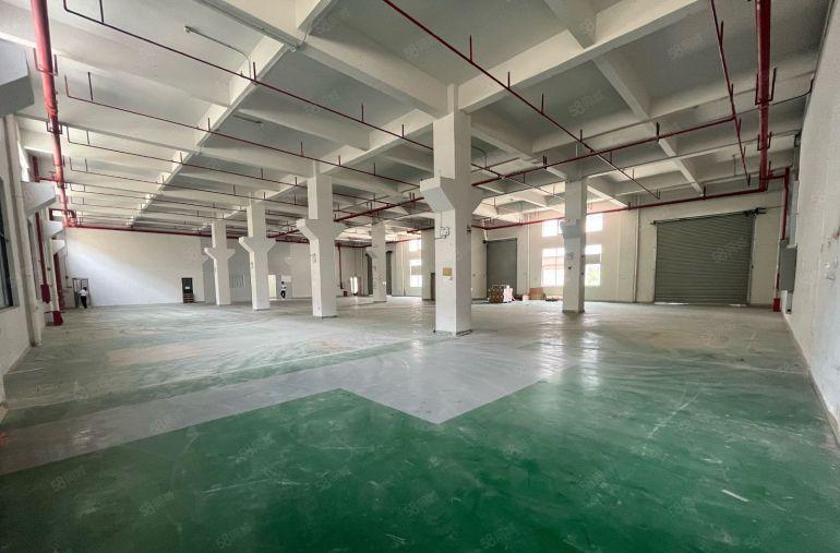 厂房出租带现成水电精装修茶山镇原房东出租1楼5楼各1350平