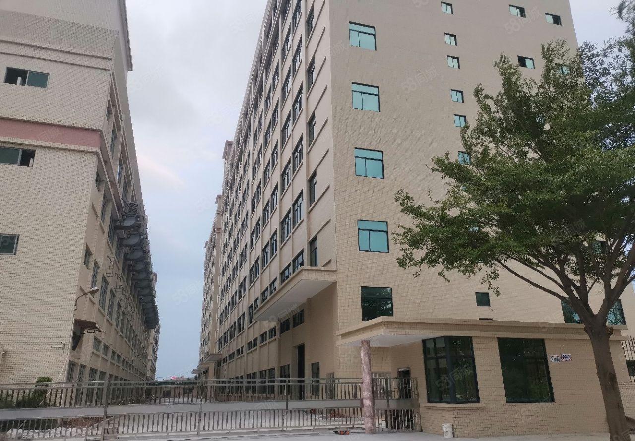 茶山新出一手原房东标准独院厂房28000平米水电齐全欢迎来电