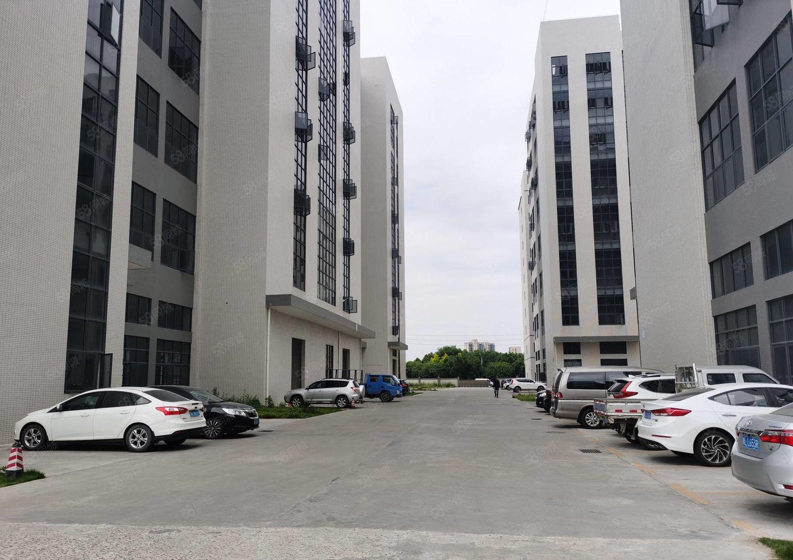 茶山全新标准一楼厂房出租1500平方，带牛角水电到位，高7米