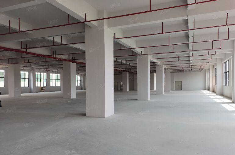 茶山镇原房东独院厂房出租9000平方米分租1000平方米起