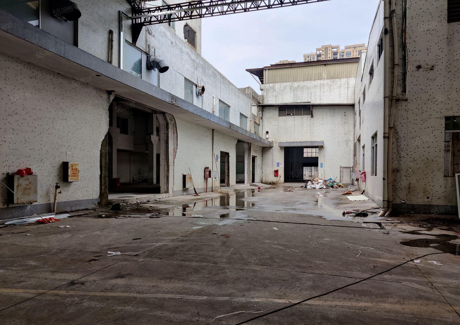 东莞茶山重工业厂房 27000平，滴水12米，空地大，无居民