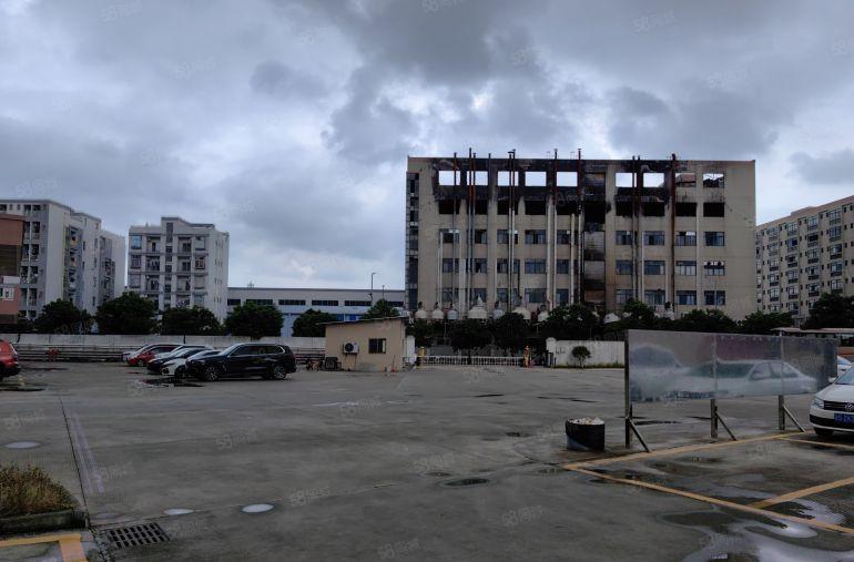 石排镇向西工业区标准厂房出租分租有现成办公室地坪漆装修带客梯