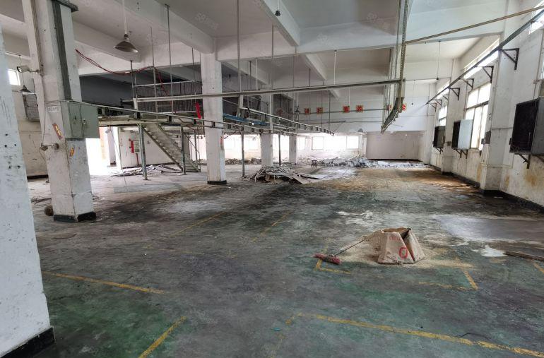 石排 一手房东 独院厂房2400方，形象佳