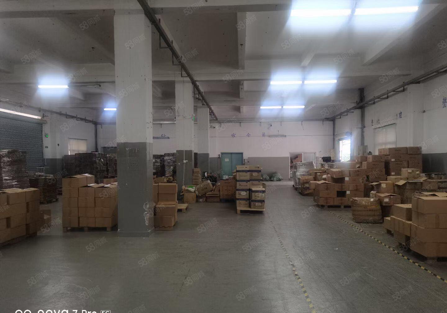 石排原房东独栋12楼2360平方出租，整租17可整层分租。