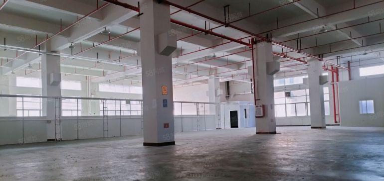 石排镇东部快速旁独院一楼1350平方高度7米带牛角位厂房出租