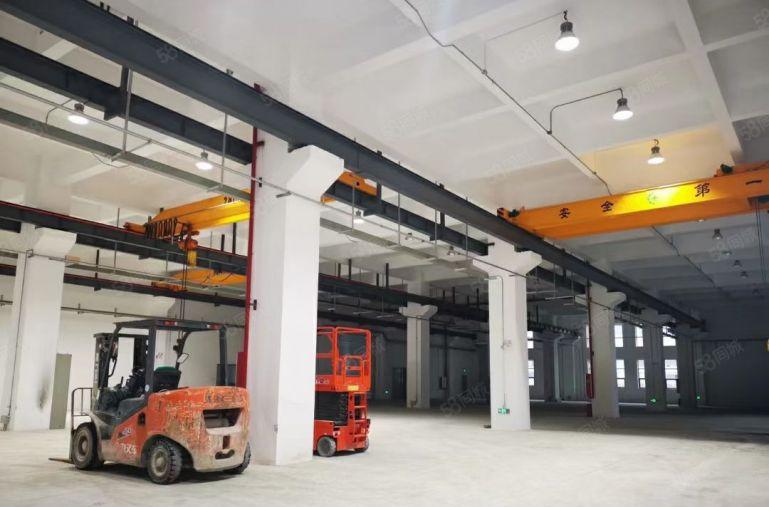 石排全新公寓出租，石排全新标准厂房出租