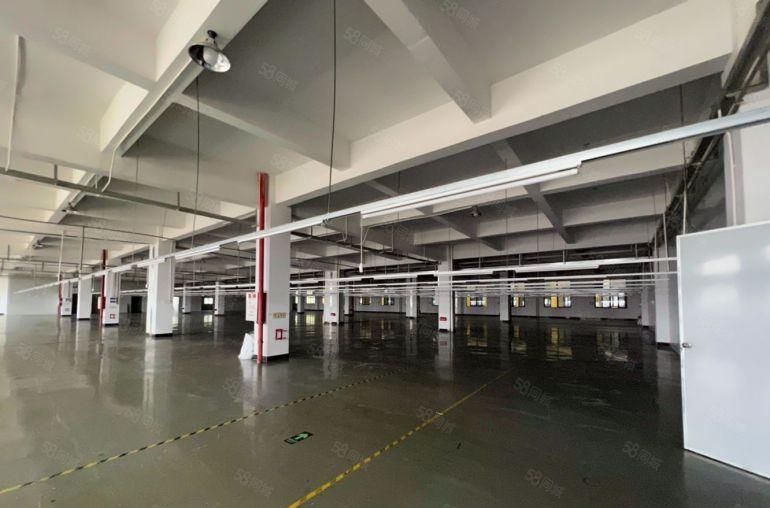 石排镇田寮工业区原房东厂房分租3000平米，现成水电线路装修