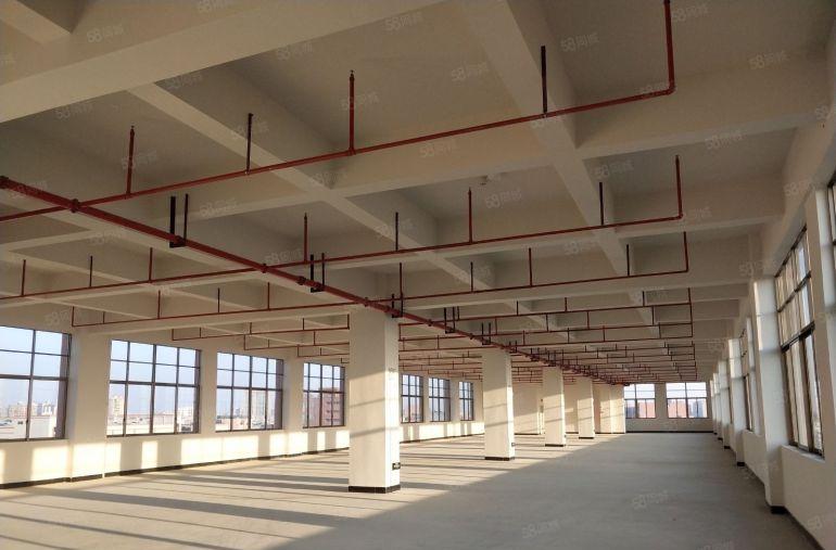 石排镇 产业园原房东独院 厂房出租 15元优惠划算 专精