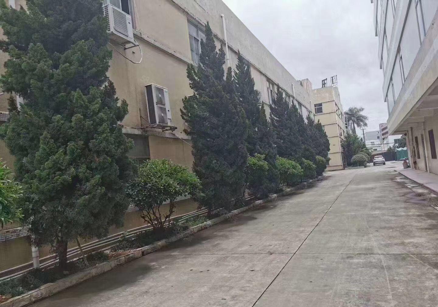 石排原房东独栋12楼2360平方出租，整租17可整层分租。