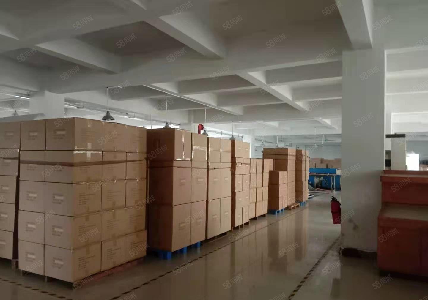 原房东，石排标准厂房出租1500方，现成办公室，位置佳！