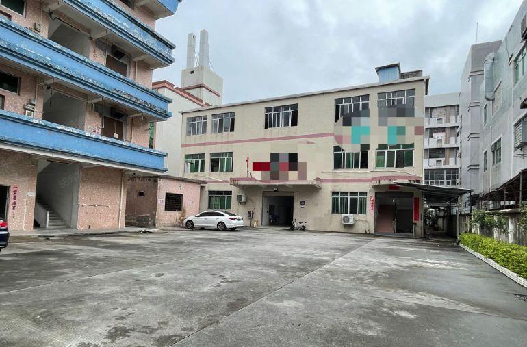 石排镇原房东独门独院2200平方出租