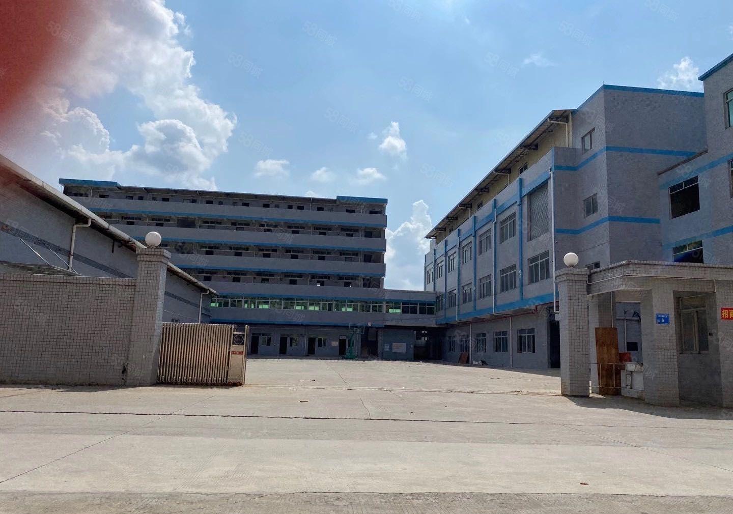 石排镇新空出一楼1000平方 现成装修电缆 牛角位