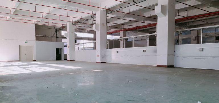 石排镇东部快速旁独院一楼1350平方高度7米带牛角位厂房出租