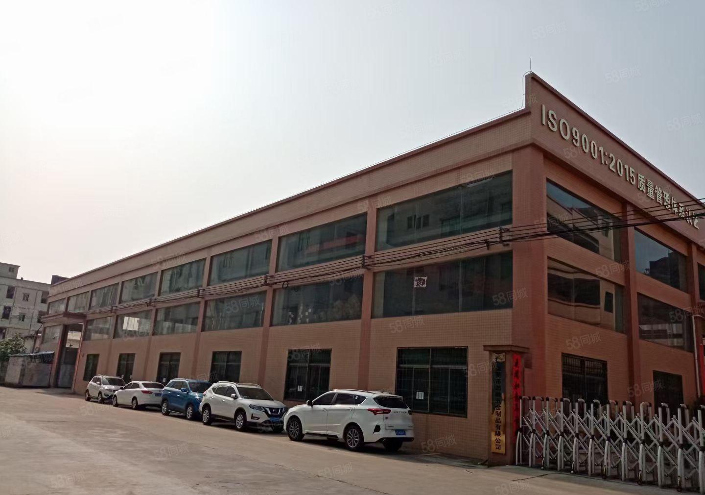 石排新出单一层经典独院滴水8米，总面积3000平方，价格便宜