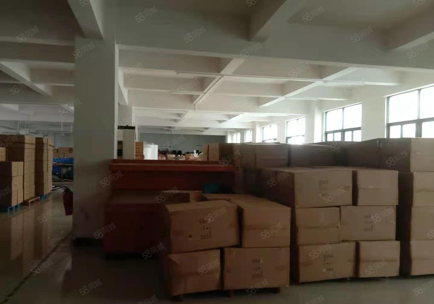 原房东，石排标准厂房出租1500方，现成办公室，位置佳！