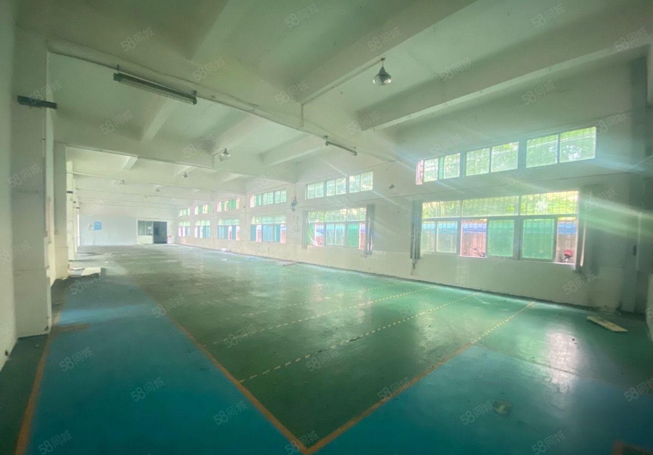 石排新出漂亮标准厂房出租带地坪漆可分租空地大。适合小加工电子