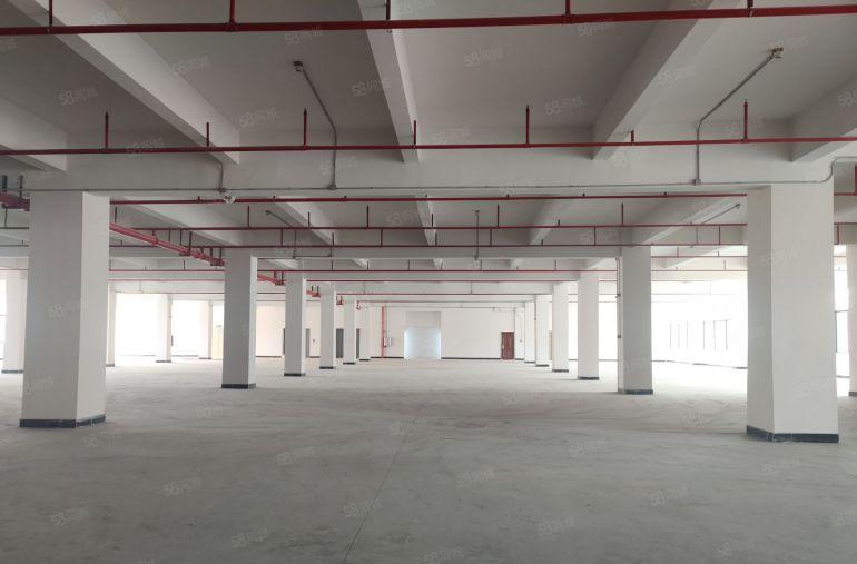 石排原房东厂房仓库出租一楼楼上300平起~6000平独院