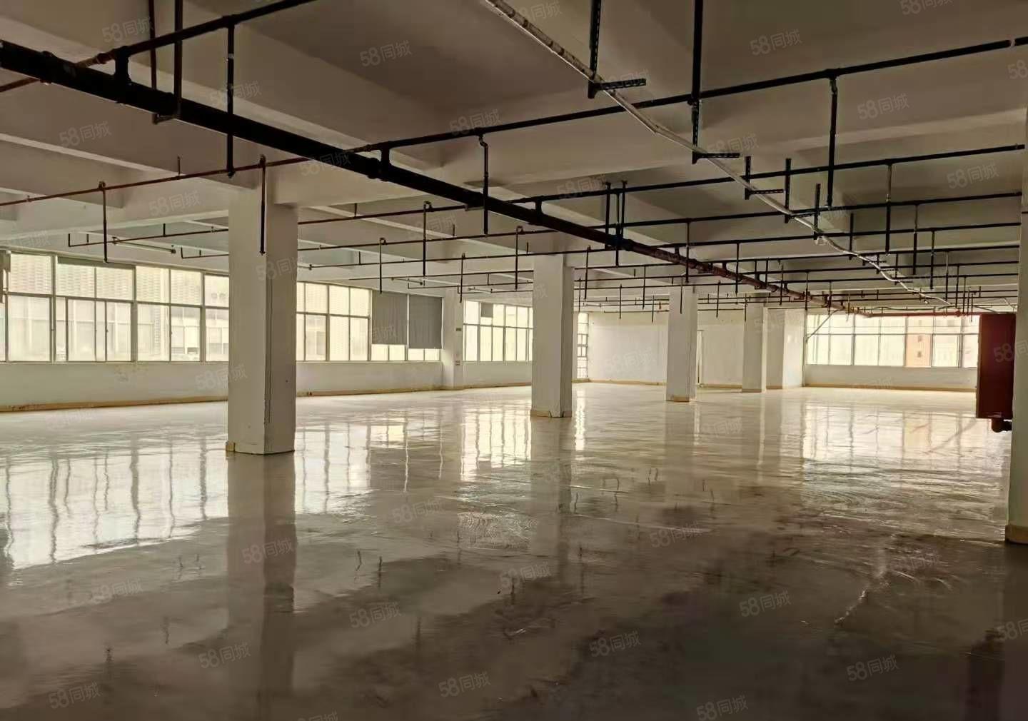 石排新出标准厂房4楼1650方出租，位置佳，形象好