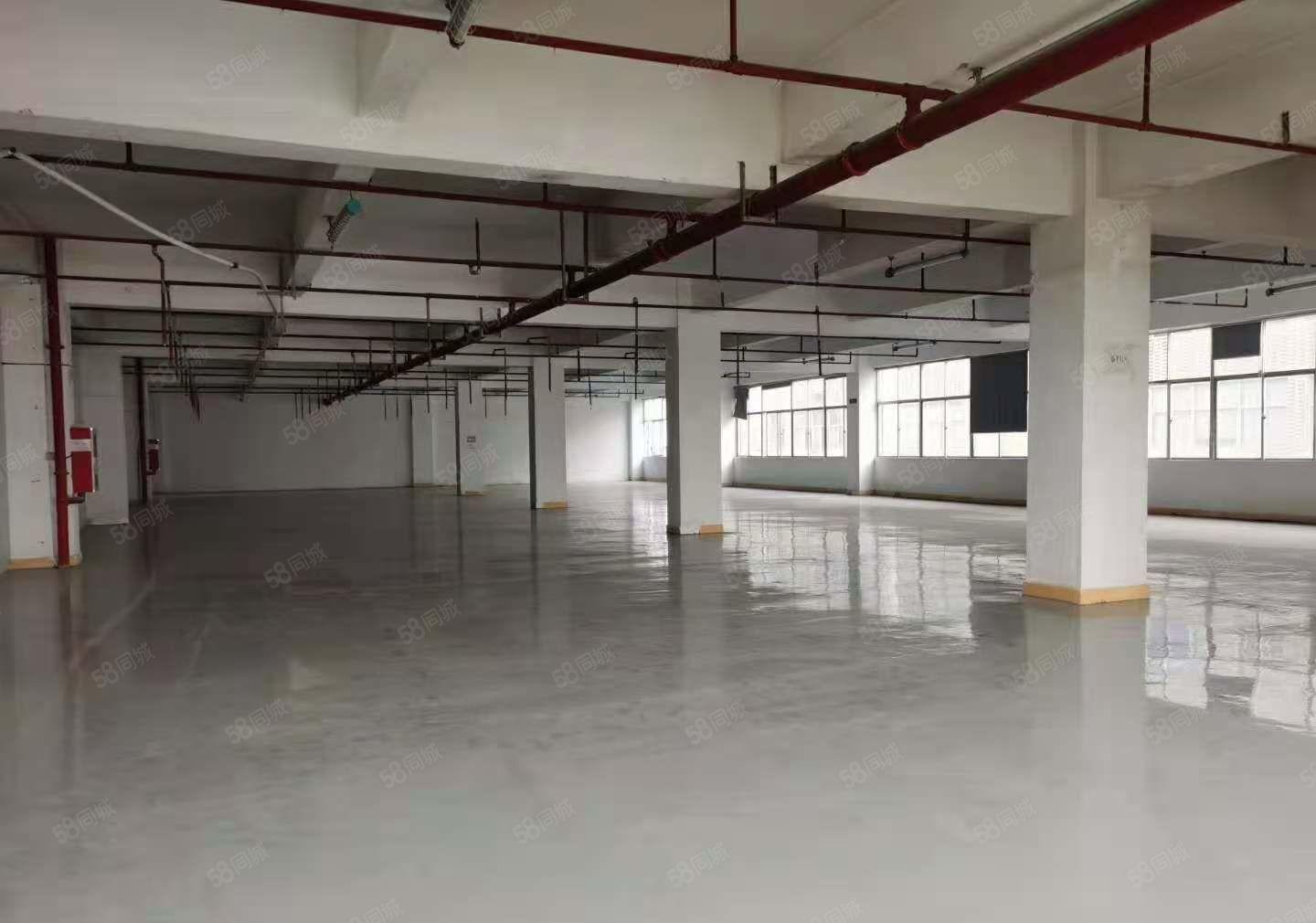 石排新出标准厂房4楼1650方出租，位置佳，形象好