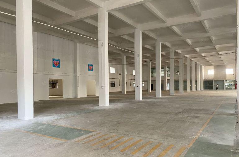 石排新出原房东独院单一层，滴水八米带航车形象好空地大带办公室