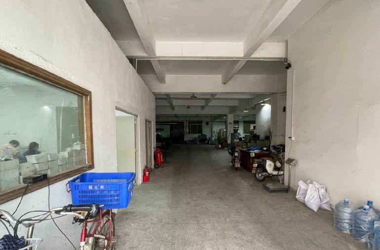 石排镇原房东独门独院2200平方出租