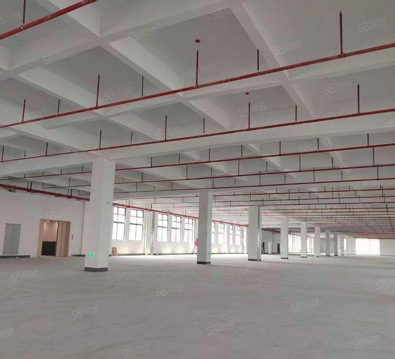 石排镇原房东的标准楼上厂房，现成水电办公室，进出货方便有货梯