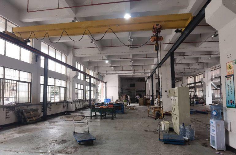 石排原房东独院厂房出租一楼8米带牛角，适合注塑模具cnc等