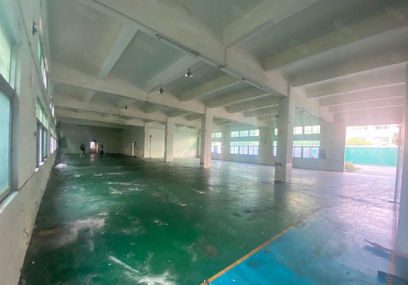 石排新出漂亮标准厂房出租带地坪漆可分租空地大。适合小加工电子