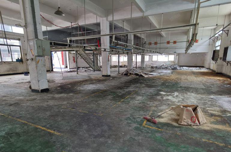 石排 一手房东 独院厂房2400方，形象佳