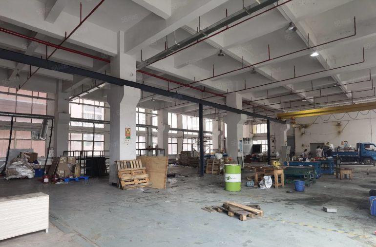 石排原房东独院厂房出租一楼8米带牛角，适合注塑模具cnc等