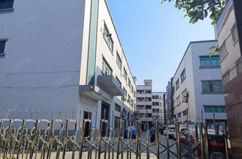 石排靠近企石东部快速原房东红本双证标准三层厂房直租现成航车