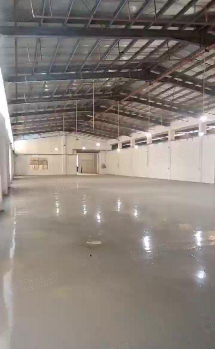 石排镇厂房出租13元单一层钢构厂房水电过户带喷油环评真实有效