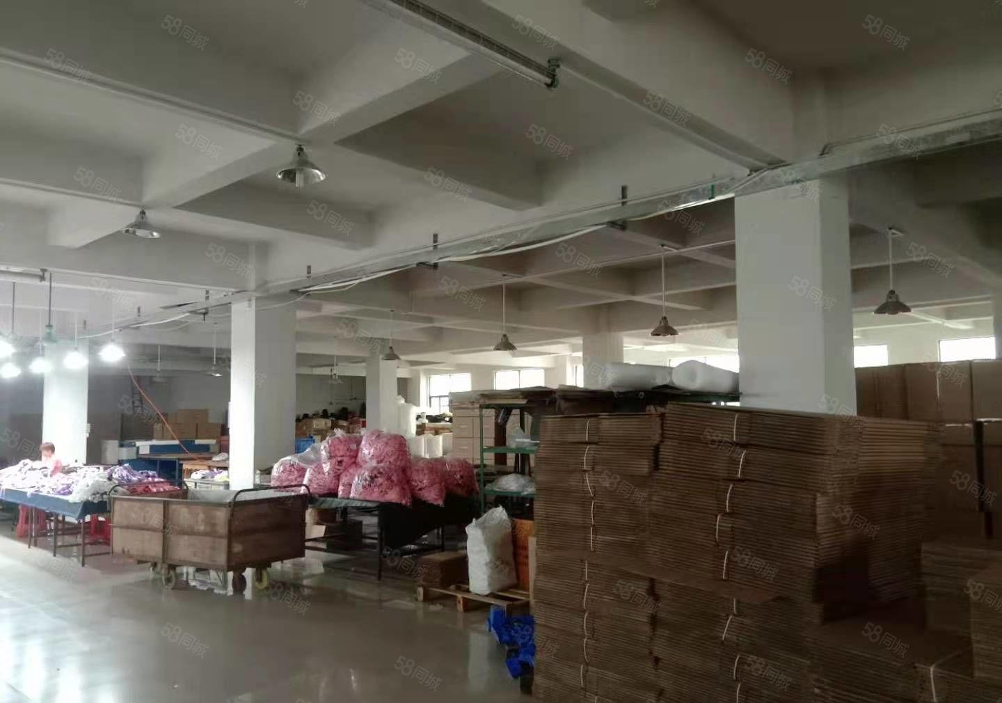 原房东，石排标准厂房出租1500方，现成办公室，位置佳！