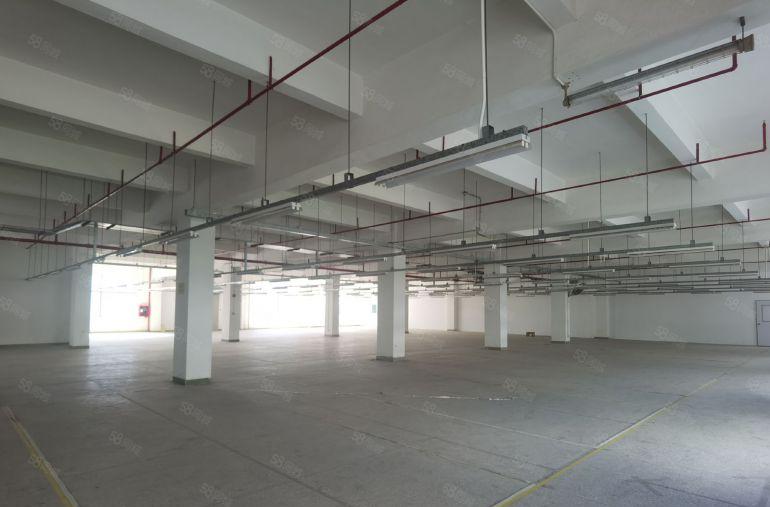 石排花园式独院14000平米  空地大  水电现成  带装修