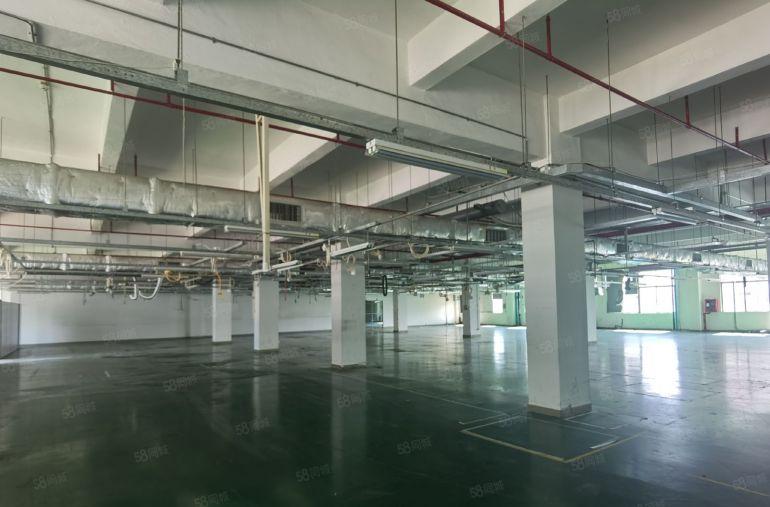 石排花园式独院14000平米  空地大  水电现成  带装修