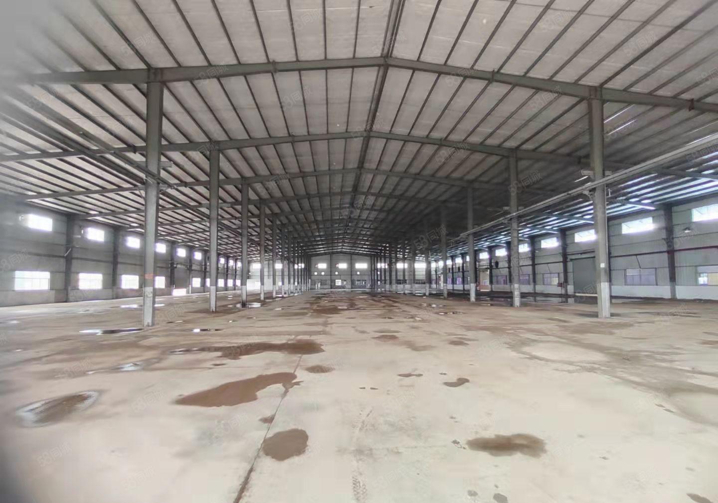 石排镇新出单一层钢结构厂房滴水11米，大小好分租