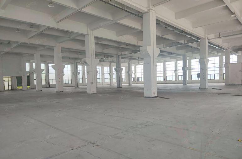 500平起石排下沙一楼楼上3000平厂房出租仓库出租独院独栋