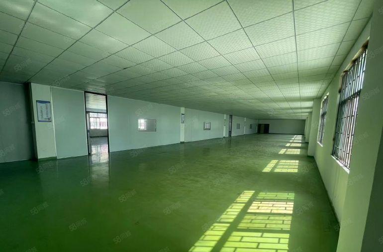 东莞石排低价厂房出租无尘车间现成办公室装修水电齐全