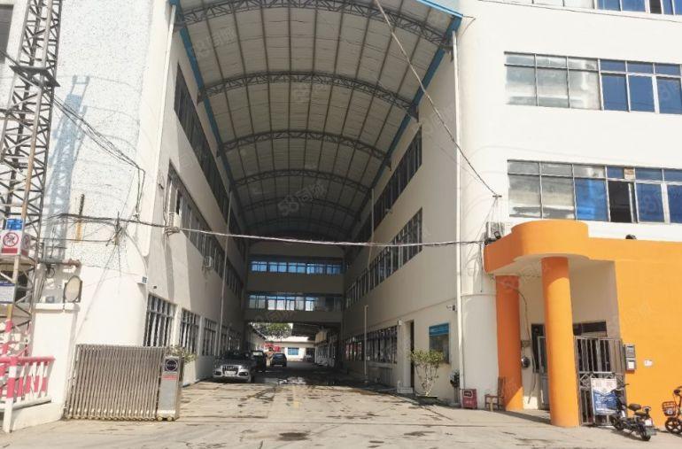 中堂原房东标准厂房出租，低至12元每平米